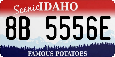 ID license plate 8B5556E