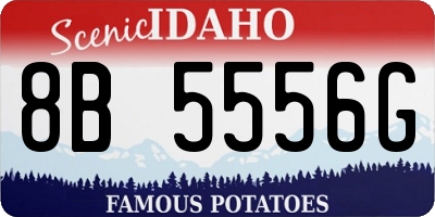 ID license plate 8B5556G