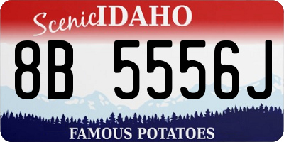 ID license plate 8B5556J