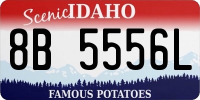 ID license plate 8B5556L