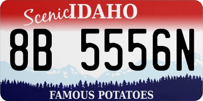 ID license plate 8B5556N