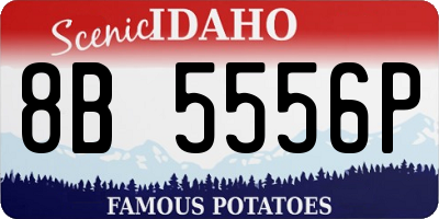 ID license plate 8B5556P