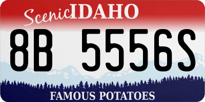 ID license plate 8B5556S