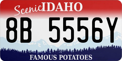 ID license plate 8B5556Y