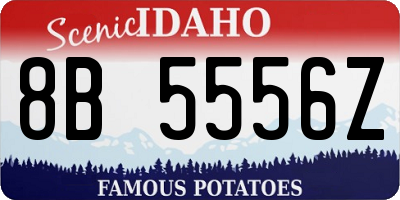 ID license plate 8B5556Z