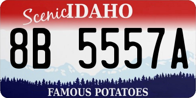 ID license plate 8B5557A