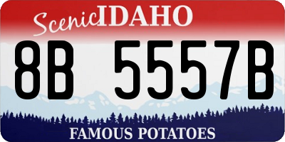 ID license plate 8B5557B