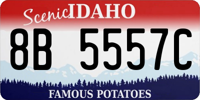 ID license plate 8B5557C