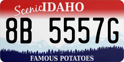 ID license plate 8B5557G