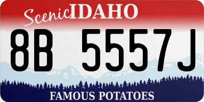 ID license plate 8B5557J