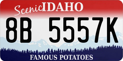 ID license plate 8B5557K
