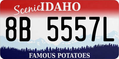 ID license plate 8B5557L