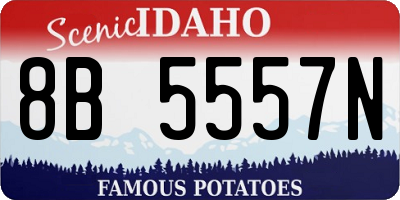 ID license plate 8B5557N