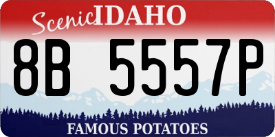 ID license plate 8B5557P