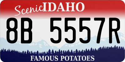 ID license plate 8B5557R