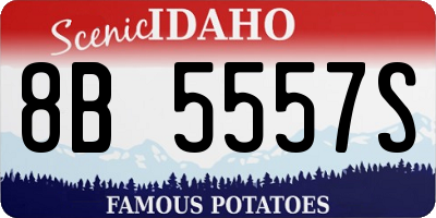 ID license plate 8B5557S