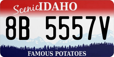 ID license plate 8B5557V