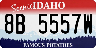 ID license plate 8B5557W