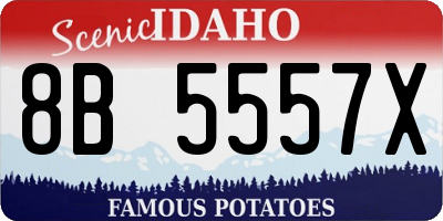 ID license plate 8B5557X