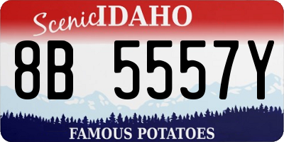 ID license plate 8B5557Y