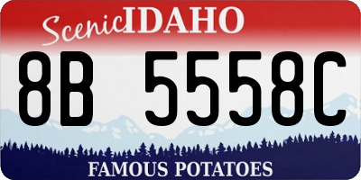 ID license plate 8B5558C