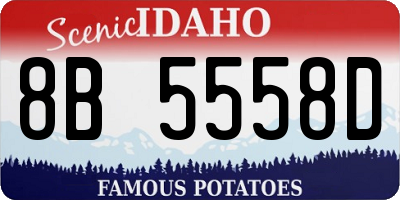 ID license plate 8B5558D