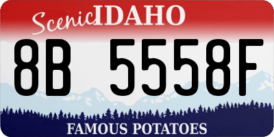 ID license plate 8B5558F