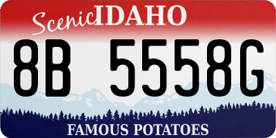 ID license plate 8B5558G