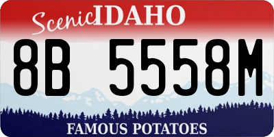 ID license plate 8B5558M