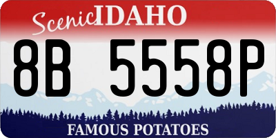 ID license plate 8B5558P