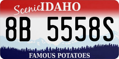 ID license plate 8B5558S