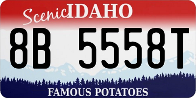 ID license plate 8B5558T