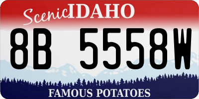 ID license plate 8B5558W