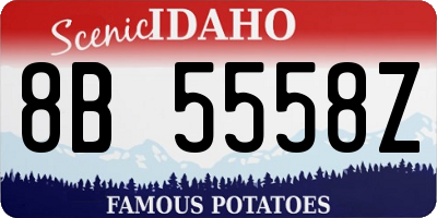 ID license plate 8B5558Z