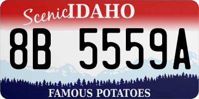 ID license plate 8B5559A