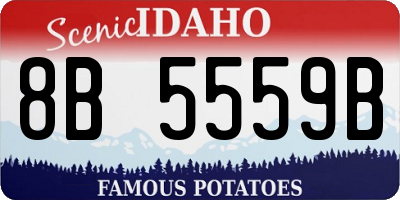 ID license plate 8B5559B