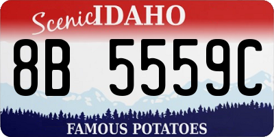 ID license plate 8B5559C