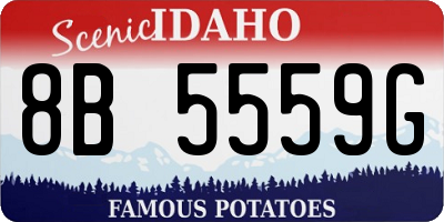 ID license plate 8B5559G