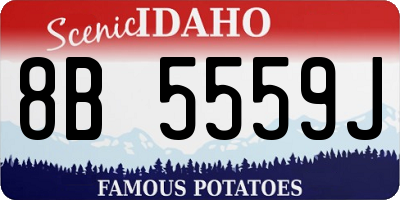 ID license plate 8B5559J