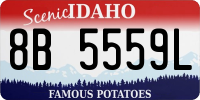 ID license plate 8B5559L