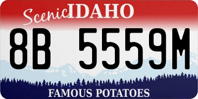 ID license plate 8B5559M