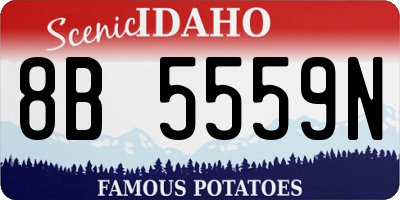 ID license plate 8B5559N
