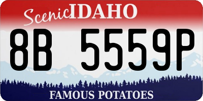 ID license plate 8B5559P