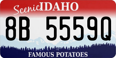 ID license plate 8B5559Q