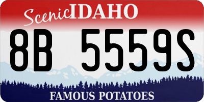 ID license plate 8B5559S