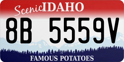 ID license plate 8B5559V