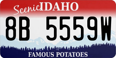 ID license plate 8B5559W