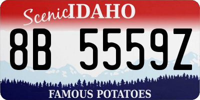 ID license plate 8B5559Z