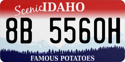 ID license plate 8B5560H