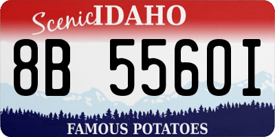 ID license plate 8B5560I
